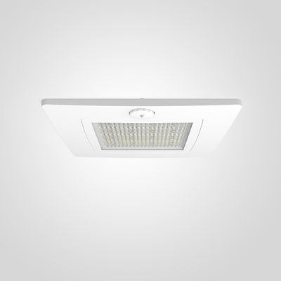 comprar Bridgelux/Epistar LED Canopy Light 33x40x17 for Commercial and Industrial Lighting Needs fabricação em linha